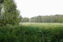 Killikus&reg; Fotographie