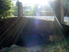 Killikus&reg; Fotographie