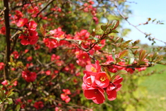 Killikus&reg; Fotographie