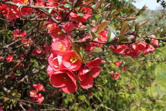 Killikus&reg; Fotographie