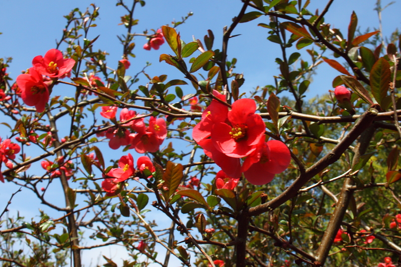 Killikus&reg; Fotographie