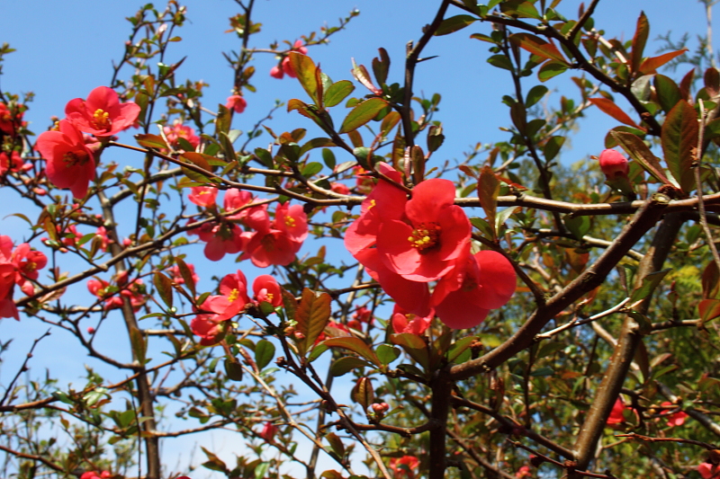 Killikus&reg; Fotographie