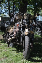 Killikus&reg; Fotographie