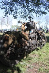 Killikus&reg; Fotographie