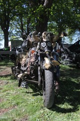 Killikus&reg; Fotographie