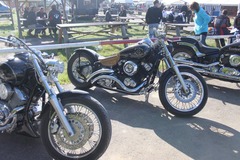 Killikus&reg; Fotographie