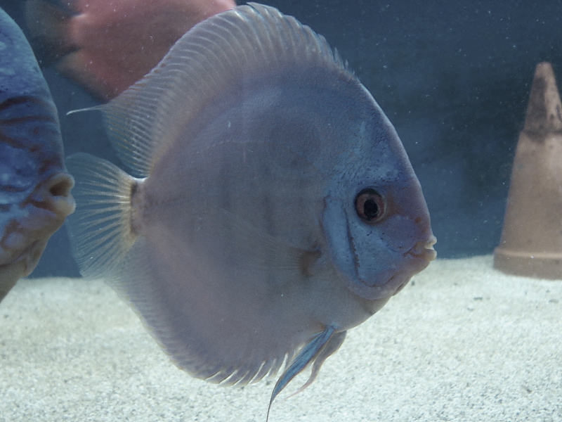 Killikus&reg; Fotographie