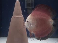 Killikus&reg; Fotographie