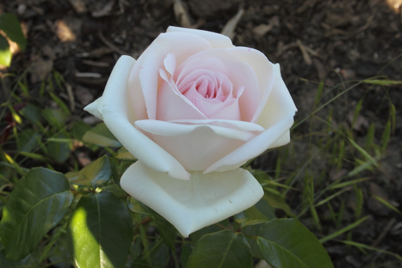 Killikus® Fotographie Killikus® Fotographie