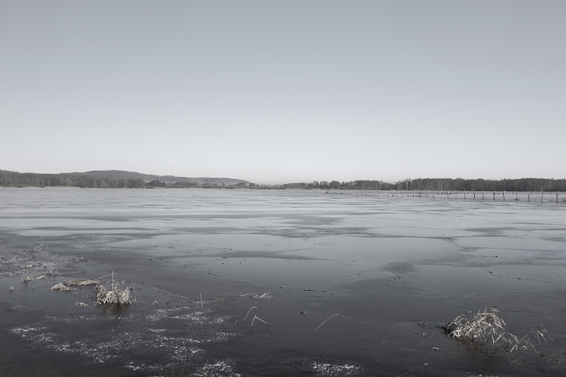 Killikus&reg; Fotographie