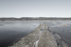 Killikus&reg; Fotographie