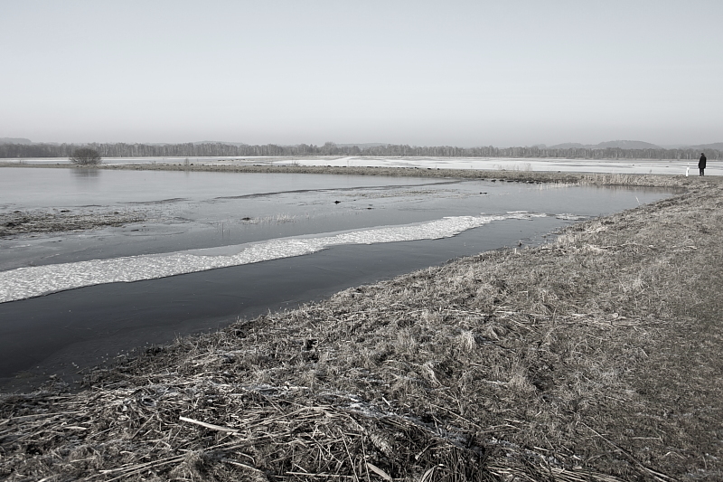 Killikus&reg; Fotographie