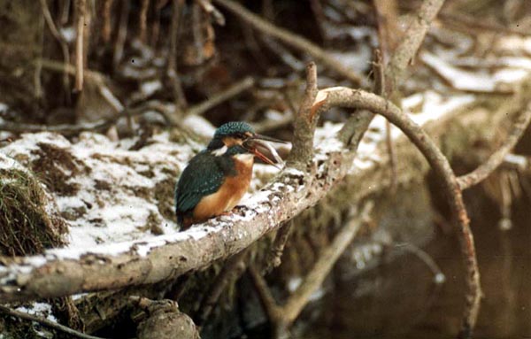 Killikus® Fotographie Killikus® Fotographie