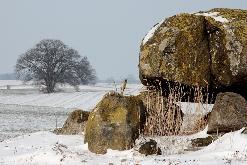 Killikus&reg; Fotographie