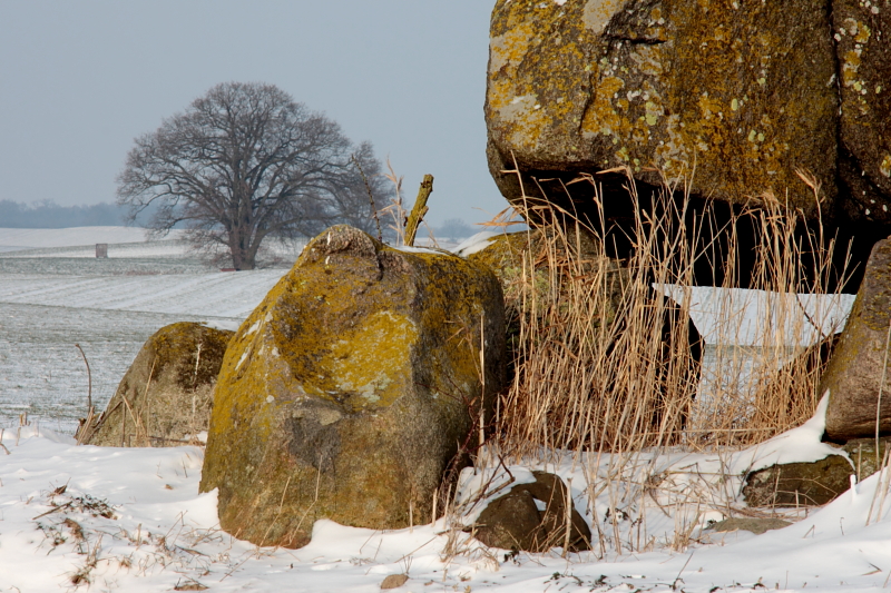 Killikus® Fotographie Killikus® Fotographie