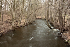 Killikus&reg; Fotographie