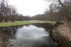 Killikus&reg; Fotographie