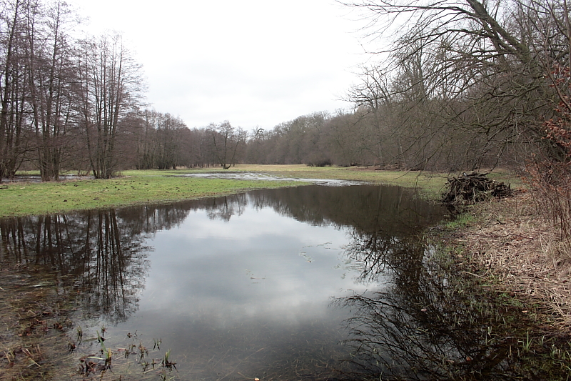 Killikus® Fotographie Killikus® Fotographie