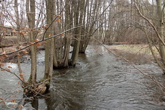 Killikus&reg; Fotographie