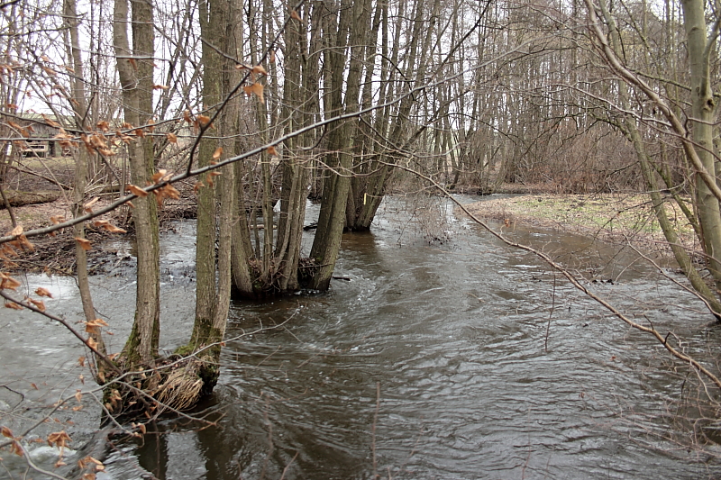 Killikus&reg; Fotographie