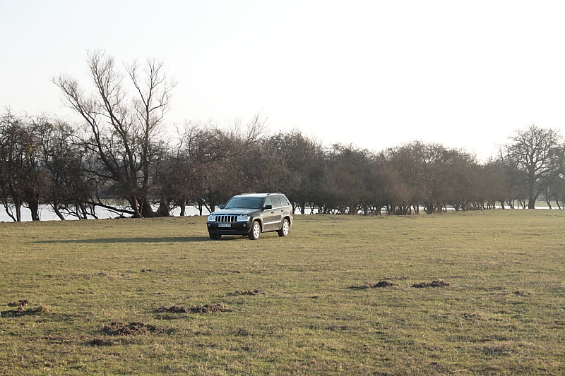 Killikus® Fotographie Killikus® Fotographie