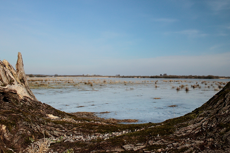 Killikus&reg; Fotographie