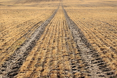 Killikus&reg; Fotographie