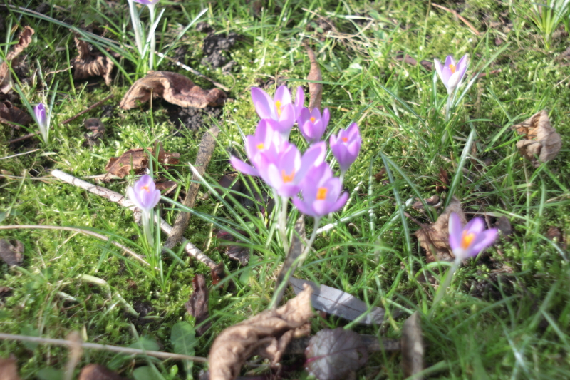 Killikus&reg; Fotographie