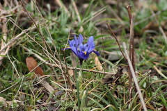 Killikus&reg; Fotographie