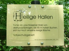 Killikus&reg; Fotographie