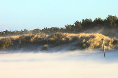 Killikus&reg; Fotographie