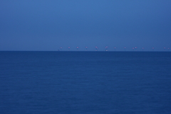 Killikus&reg; Fotographie