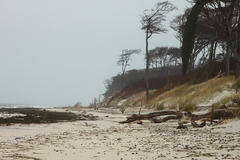 Killikus&reg; Fotographie