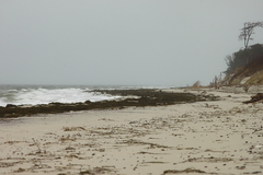 Killikus&reg; Fotographie