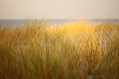 Killikus&reg; Fotographie