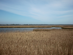 Killikus&reg; Fotographie