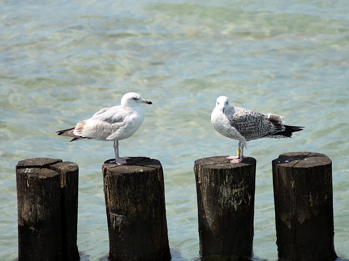 Killikus® Fotographie Killikus® Fotographie