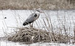 Killikus&reg; Fotographie