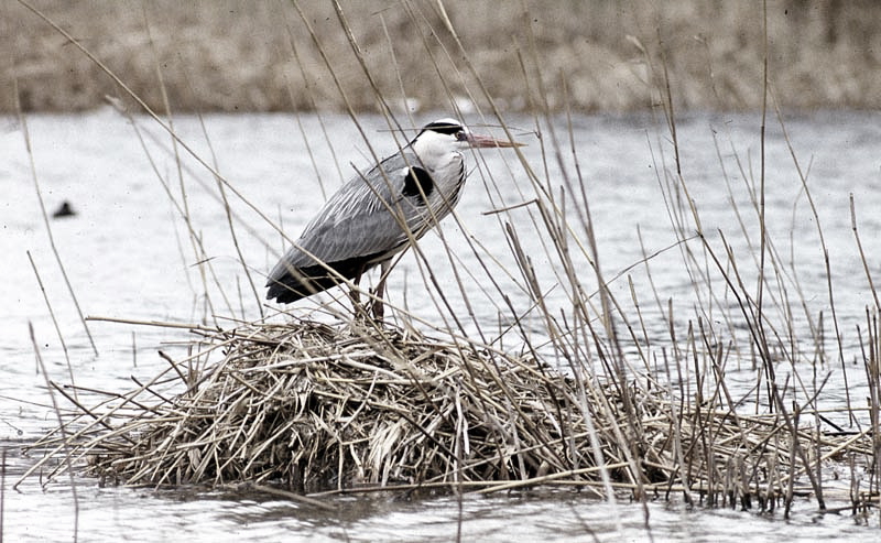 Killikus&reg; Fotographie