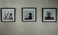 Killikus&reg; Fotographie