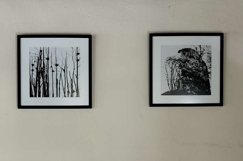 Killikus® Fotographie Killikus® Fotographie