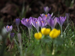 Killikus&reg; Fotographie