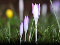 Killikus&reg; Fotographie