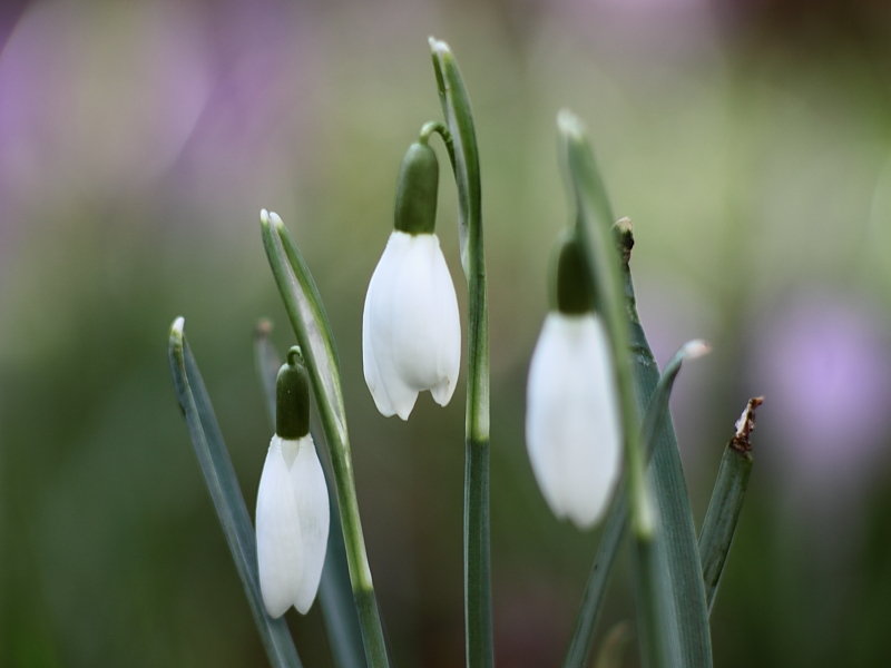 Killikus&reg; Fotographie