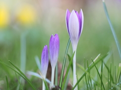 Killikus&reg; Fotographie