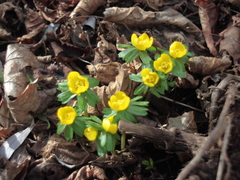 Killikus&reg; Fotographie