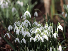 Killikus&reg; Fotographie