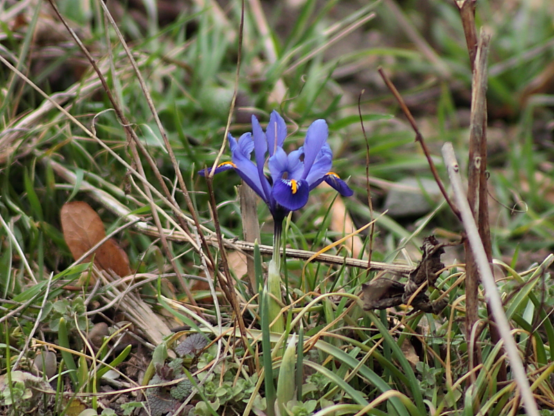 Killikus&reg; Fotographie