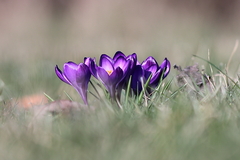 Killikus&reg; Fotographie