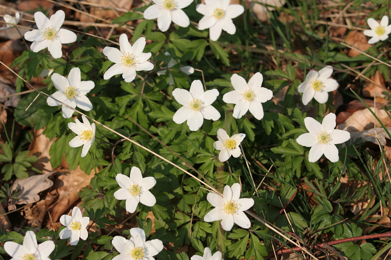 Killikus® Fotographie Killikus® Fotographie